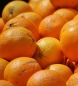 Preview: Navel Orange